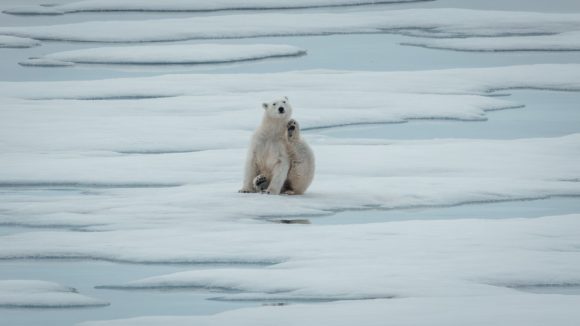 Svalbard